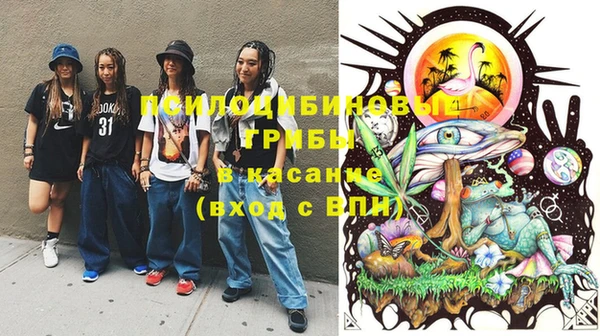 винт Армянск