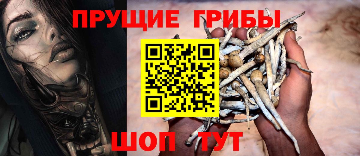 Псилоцибиновые грибы MAGIC MUSHROOMS  Вход с VPN  Чернушка 